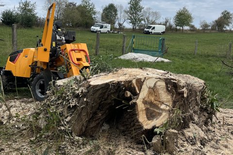 Pařez v objektu Moravské Vodárenské